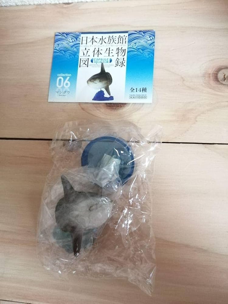 SUN FISH スカイマンボー Amazon.co.jp: Sunfish Figure, Kaiyodo Japanese Aquarium 3D